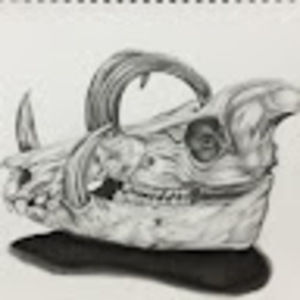 Meet your Posher, Anne